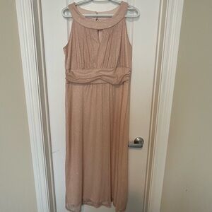 Enfocus Studio Shimmering Beige Midi Dress